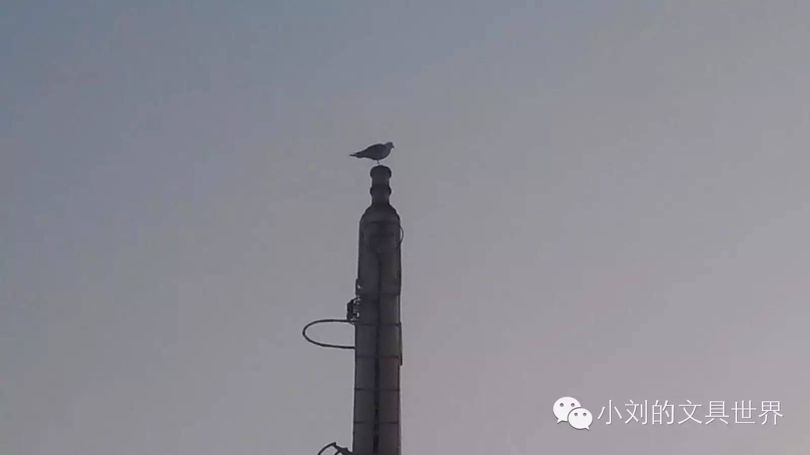 在香港本地船员一个月多少钱,香港渔业船员工资多少钱一个月