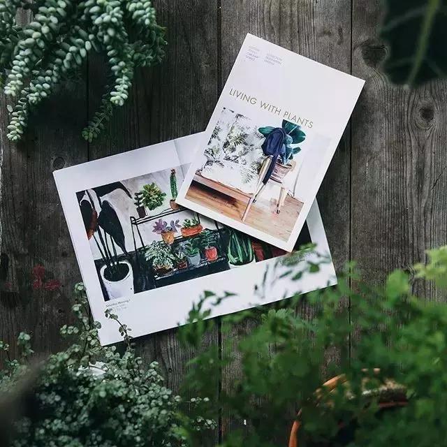 如何抓住孩子阅读饥饿期,你错过孩子的最佳阅读时机了吗