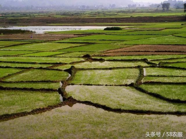 土地承包权2027年到期后怎么办,户口农转非土地承包权到期顺延吗