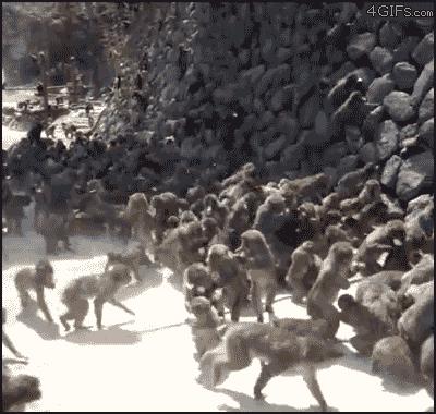 贴心女友的暖心举动,贴心女朋友该做的事