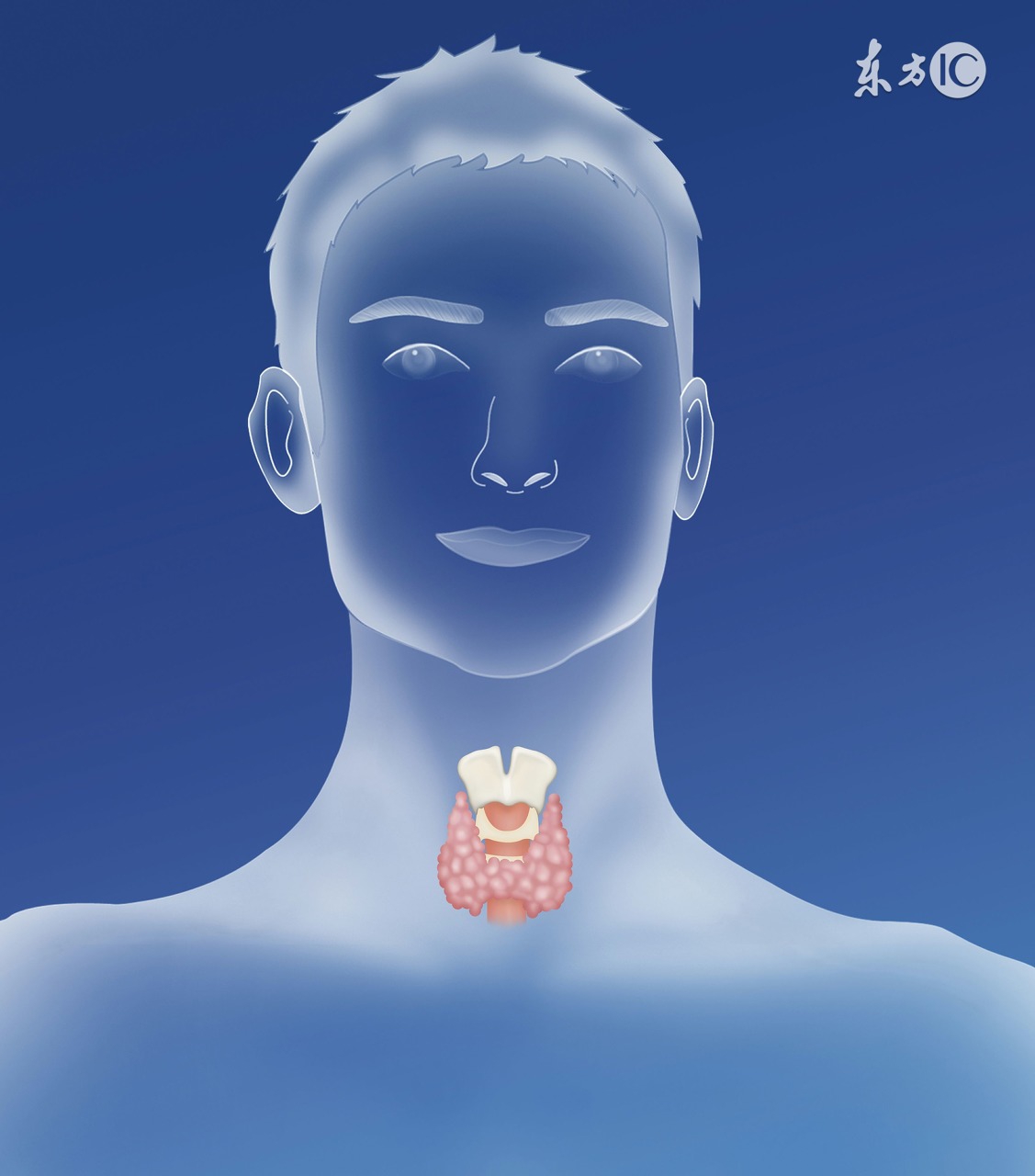 治疗甲状腺结节最好的中医,治疗甲状腺结节的最好办法