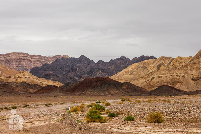 以色列，闯入“禁区”的观鸟人