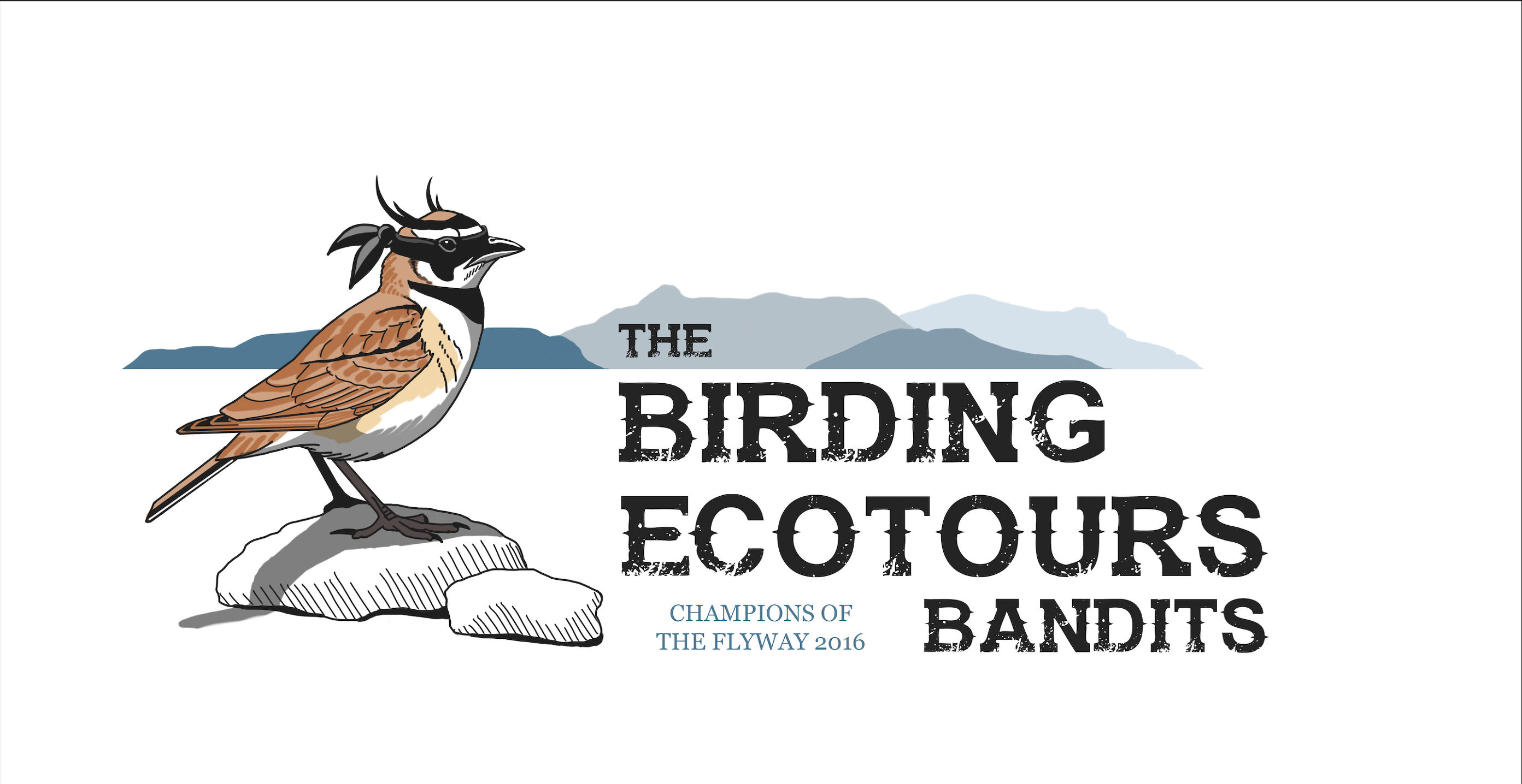 以色列，闯入“禁区”的观鸟人