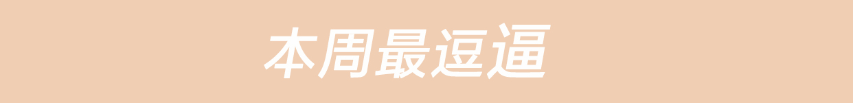 购买上千件小米产品的米粉吐槽,米粉节之后会恢复原价吗