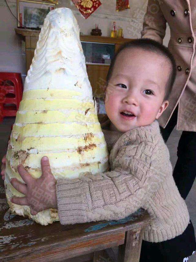 黄易作品评论,神评论不信谣不传谣