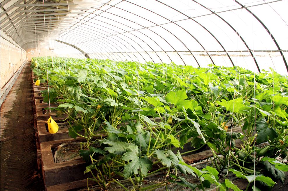 天津光合谷温泉酒店,天津光合谷公园地址