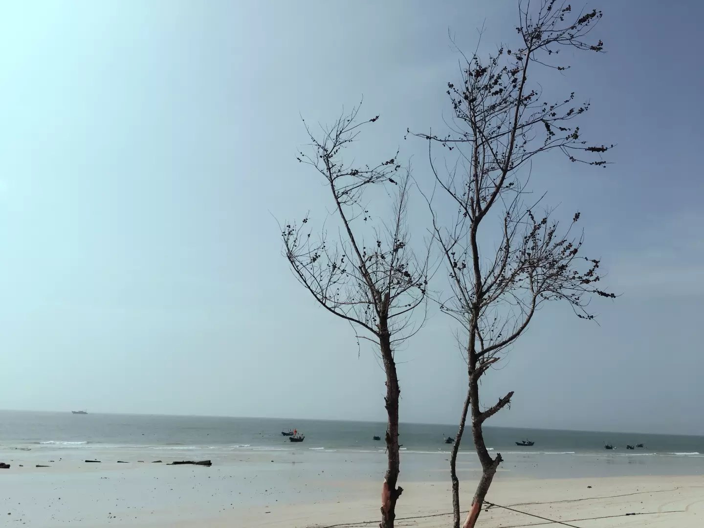 北戴河海滩有哪些好玩的,北戴河浴场沙滩哪个好