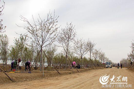 日照水库库容量,日照水库多大面积