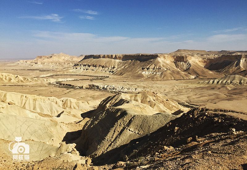 以色列，闯入“禁区”的观鸟人