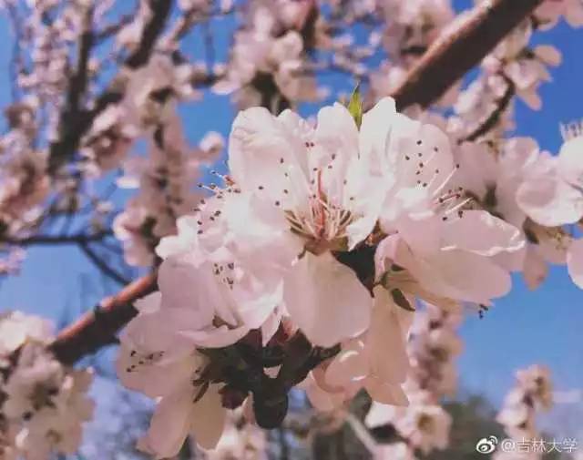 林志玲360无死角是真的美,全球最美360无死角的美女