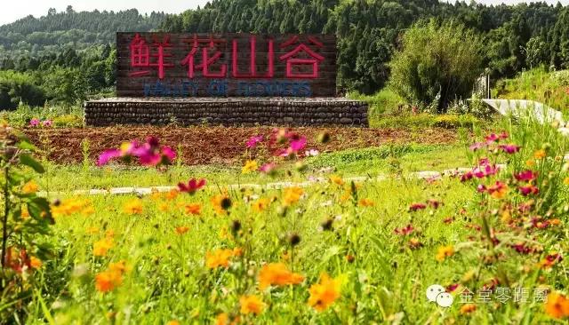 金堂云顶山一日游攻略,金堂旅游攻略一日游价格