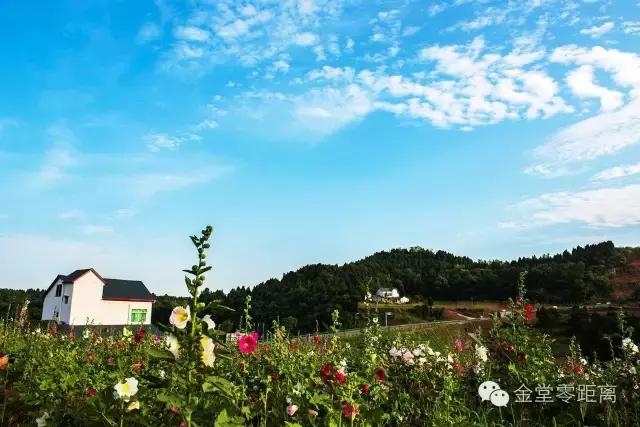 金堂云顶山一日游攻略,金堂旅游攻略一日游价格