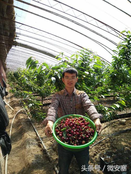 寤跺畨鏃ユ姤涔︾睄,鍚磋捣璇绘湰2018