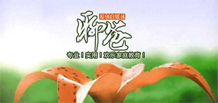 检查孩子作业都是错的,检查孩子的作业错了怎么办