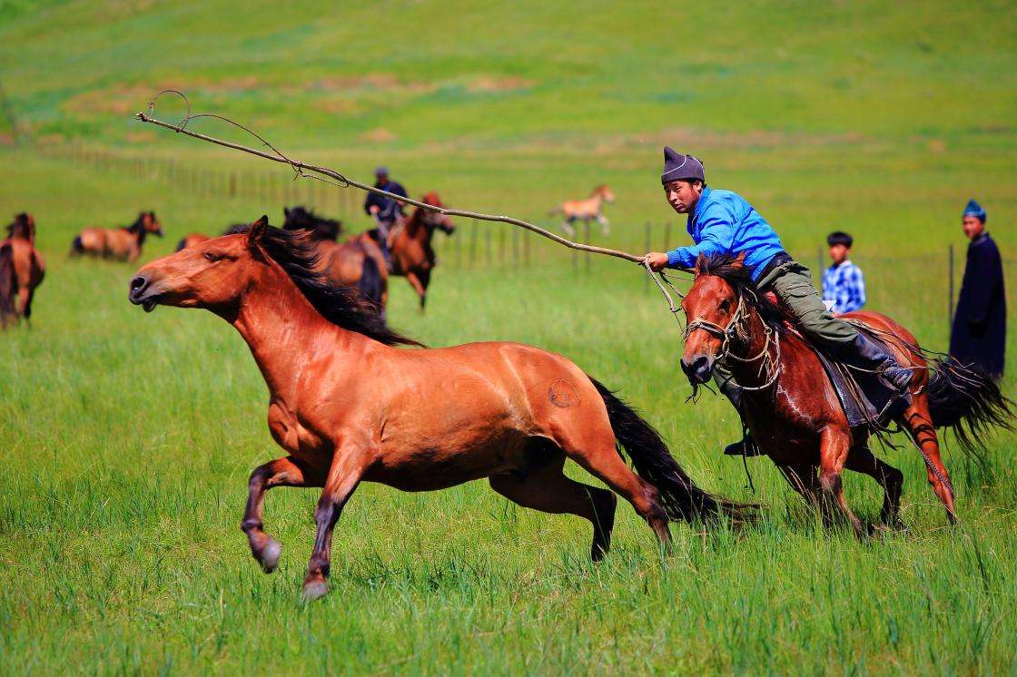 呼伦贝尔蒙古族有什么个性呢,呼伦贝尔三个少数民族