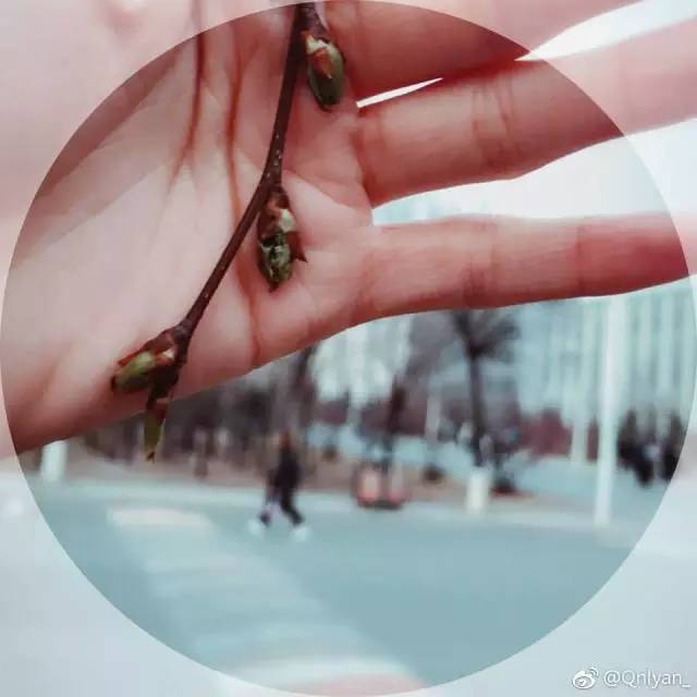 林志玲360无死角是真的美,全球最美360无死角的美女