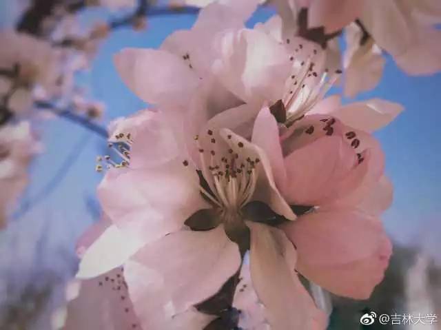 林志玲360无死角是真的美,全球最美360无死角的美女