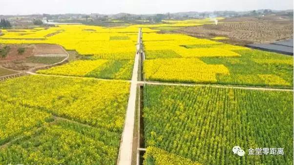 金堂云顶山一日游攻略,金堂旅游攻略一日游价格