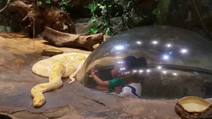 长隆番禺野生动物园攻略,番禺长隆野生动物园门票攻略