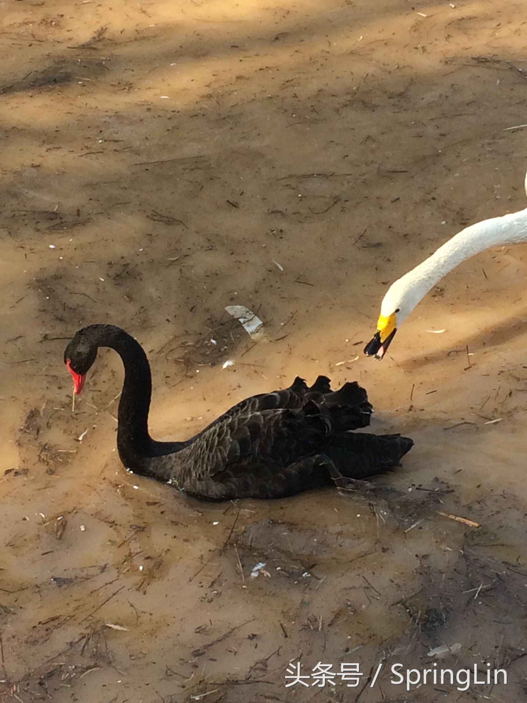 三门峡豫西大峡谷旅游攻略,豫西三门峡全景图