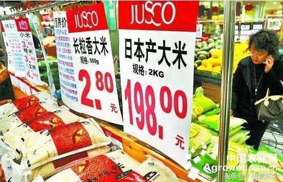 日本设立的对华机构,日本企业在中国成立分公司