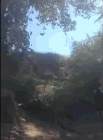 博君一笑回顾,博君一笑超燃剪辑