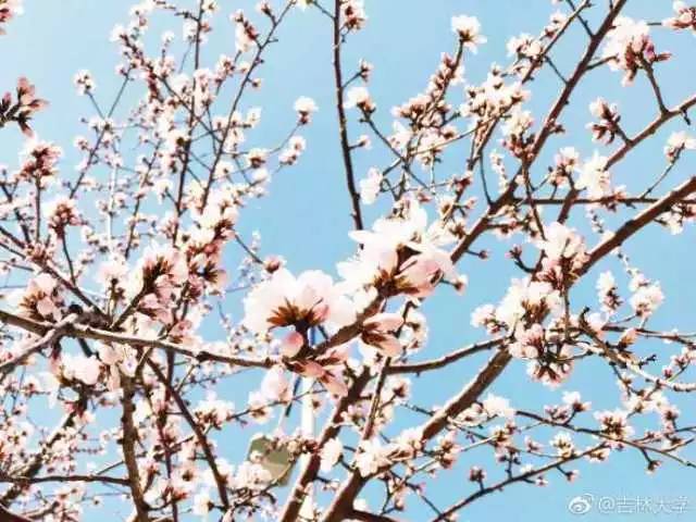 林志玲360无死角是真的美,全球最美360无死角的美女