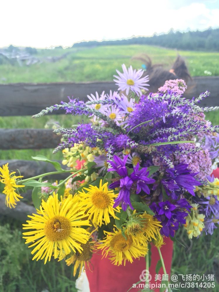 2018贝加尔湖自驾游,贝加尔湖畔自驾游全集