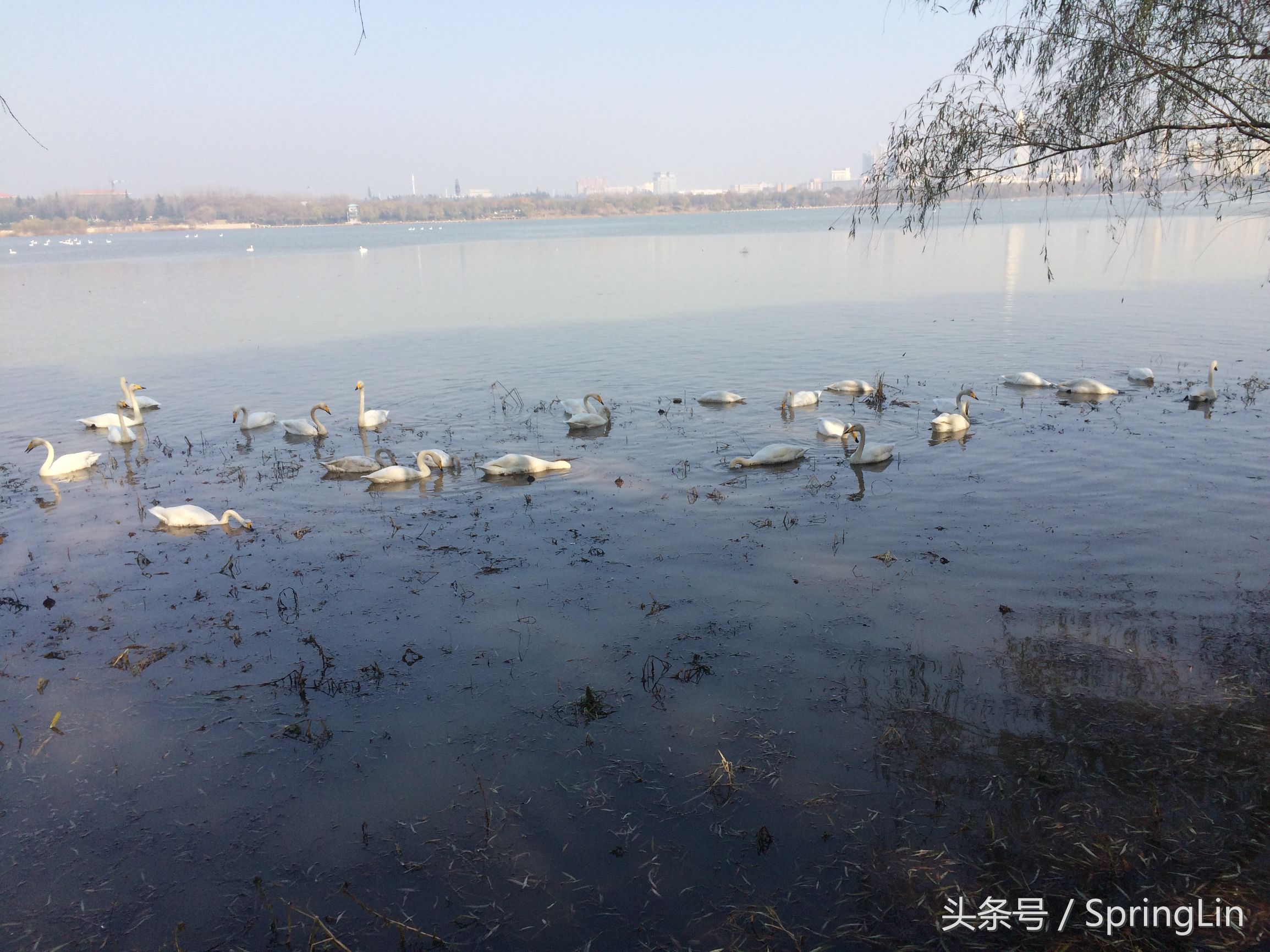 三门峡豫西大峡谷旅游攻略,豫西三门峡全景图