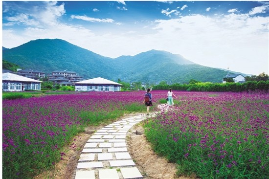 上海普陀区五年规划,普陀区5年规划