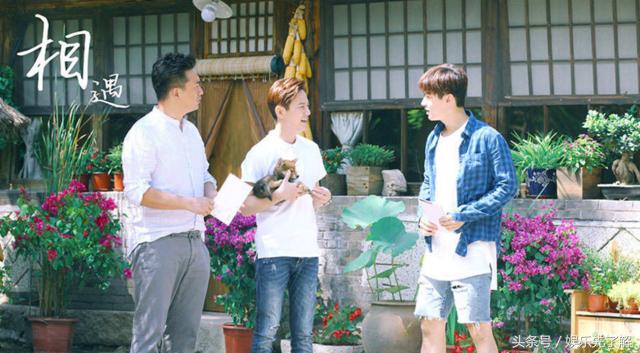 谢娜被怼小s,谢娜的一些举动引起了大家的关注