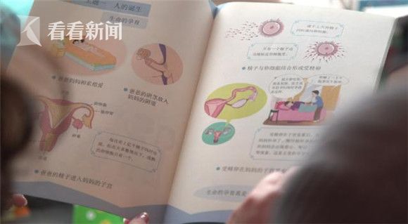 怎么正确引导小学生对性的认识,如何正确引导初中孩子看待两性