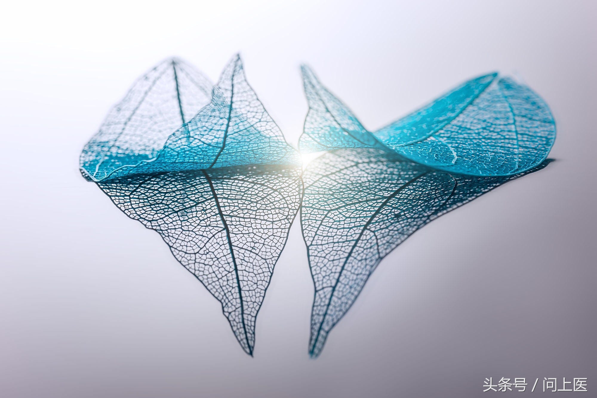 精子秘密,精子的秘密