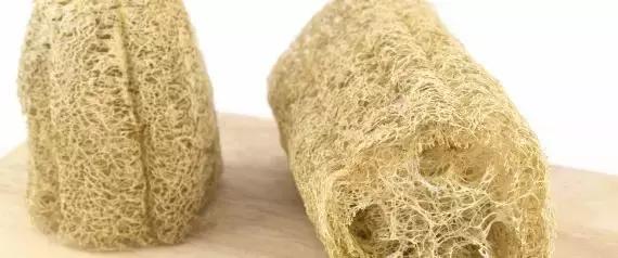 衣柜靠近卫生间发霉怎么彻底解决,卧室靠近卫生间柜子发霉怎么处理