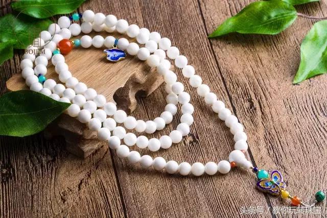 要怎么样才能合法养砗磲,砗磲变黄怎么处理