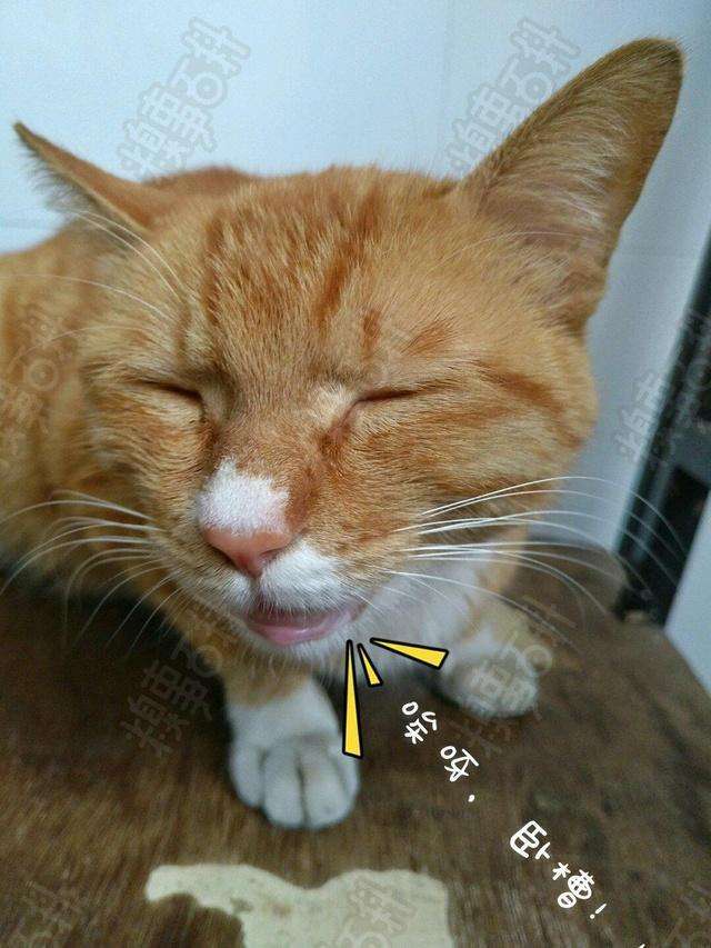 黄易作品评论,神评论不信谣不传谣