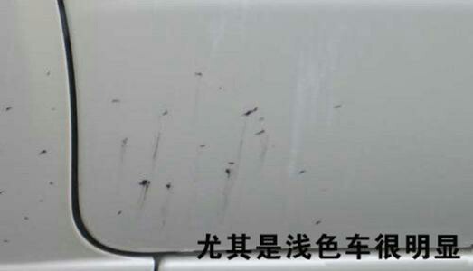 汽车打蜡正确方法,汽车美容打蜡步骤流程