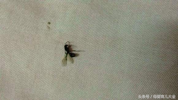 小孩吓到虫子大哭,宝宝大哭特别吓人