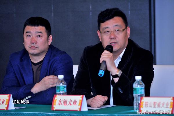 西敏寺犬展法国斗牛,法国国际肉牛博览会