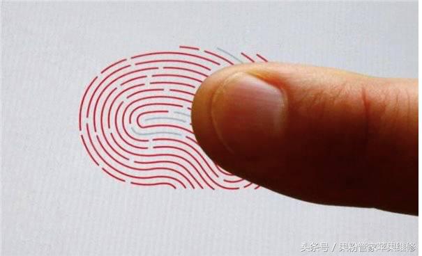 无敌寂寞啊！忠诚度苹果排NO.1