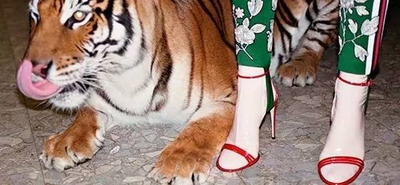 gucci官网卖会有假货吗,在网上买卖的gucci专柜会验货吗