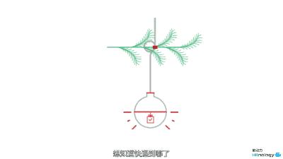 网上查快递是真的吗,美国查快递物流