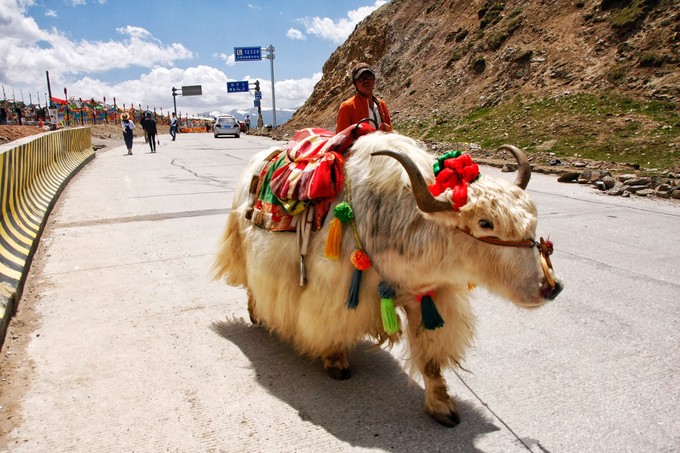 西北归来，我想说给你听，青海甘肃西安华山11天