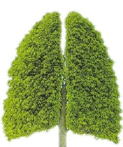 医疗故事病患,医患治病的故事