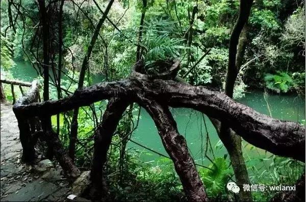 安溪最好看的风景,安溪哪个风景好