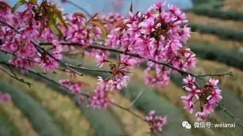 安溪最好看的风景,安溪哪个风景好