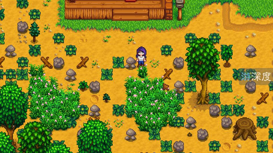 继《饥荒》之后，腾讯为什么选择一款农场经营游戏登陆TGP？