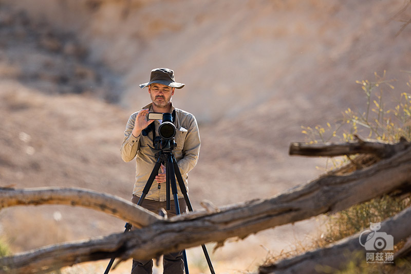 以色列，闯入“禁区”的观鸟人