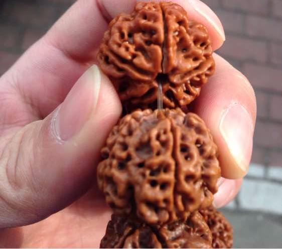 金刚菩提子新入手开裂,金刚菩提手串开裂怎么办