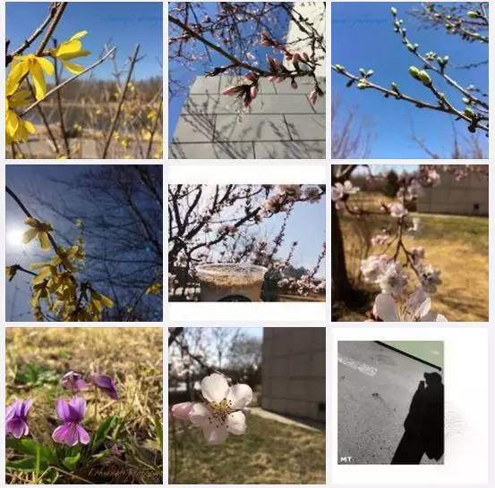 林志玲360无死角是真的美,全球最美360无死角的美女